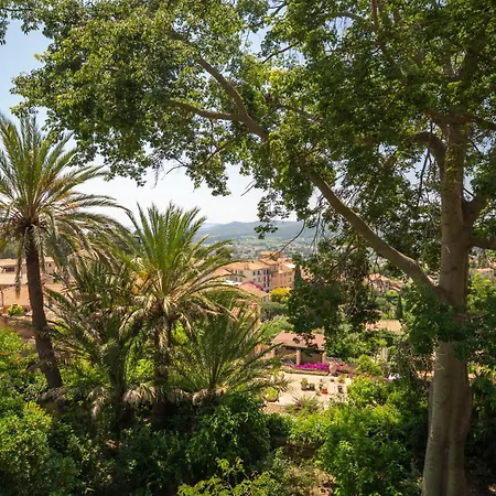 Lilie House * Борм-ле-Мимоза